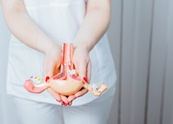 Understanding your ovaries in regards to pregnancy