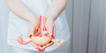 Understanding your ovaries in regards to pregnancy