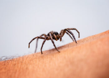 Which two fears do we inherit from birth?